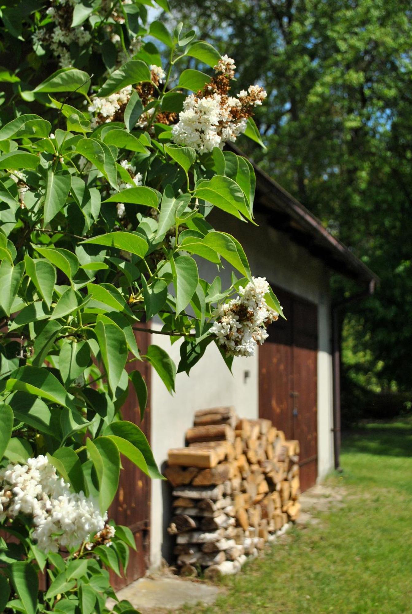 Pokrzepka Villa *